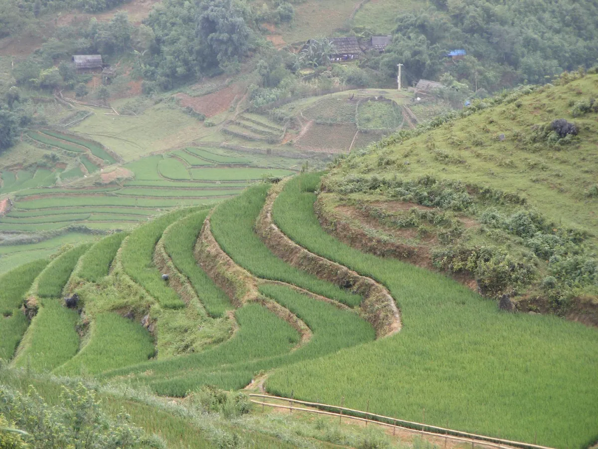 Ruộng bậc thang và bản làng vùng núi Lào Cai